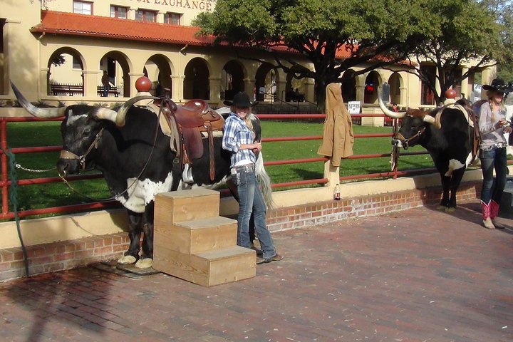 Tour in piccolo gruppo che esplora i punti salienti di Dallas e Fort Worth, foto 27 | wizardtrip