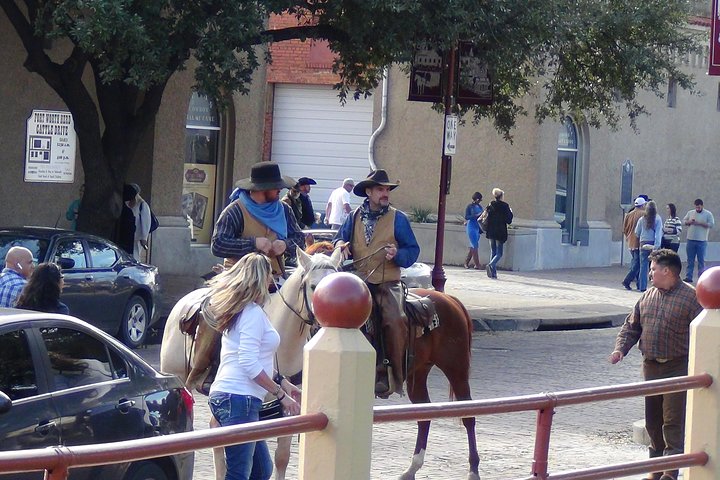 Tour in piccolo gruppo che esplora i punti salienti di Dallas e Fort Worth, foto 29 | wizardtrip