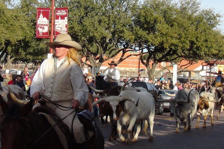 Tour in piccolo gruppo che esplora i punti salienti di Dallas e Fort Worth, foto 43 | wizardtrip