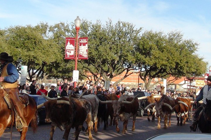 Tour in piccolo gruppo che esplora i punti salienti di Dallas e Fort Worth, foto 44 | wizardtrip