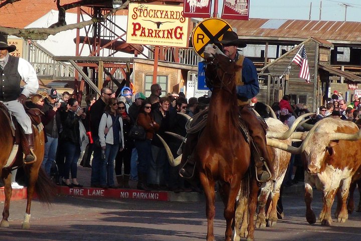 Tour in piccolo gruppo che esplora i punti salienti di Dallas e Fort Worth, foto 47 | wizardtrip