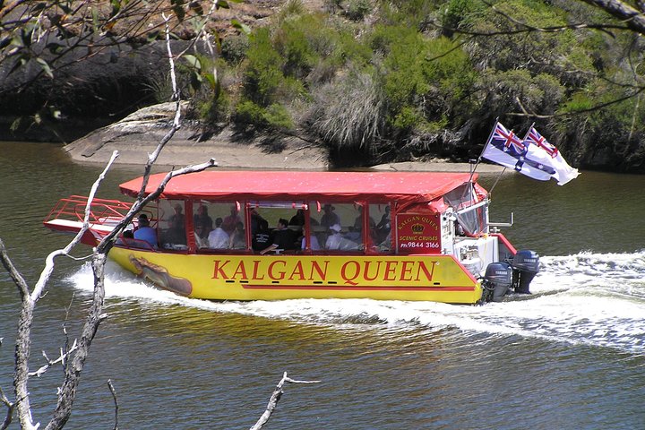 Kalgan Queen Scenic Cruises: A Four-Hour Sheltered Water Wildlife Tour | wizardtrip