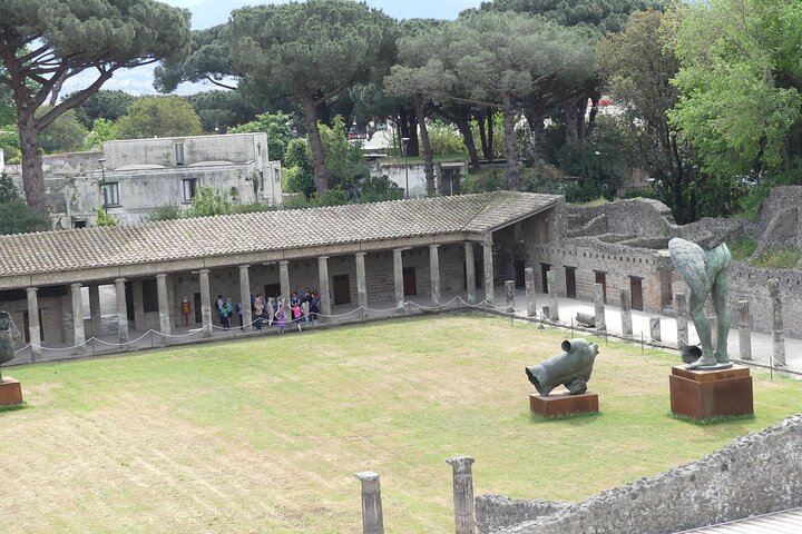 Heldagstur från Neapel som besöker Pompeji, Herculaneum och Vesuvius, foto 13 | wizardtrip