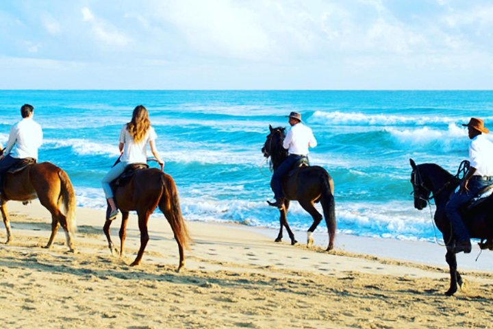 Paardrijavontuur op de schilderachtige stranden van Punta Cana, Dominicaanse Republiek, foto 3 | wizardtrip