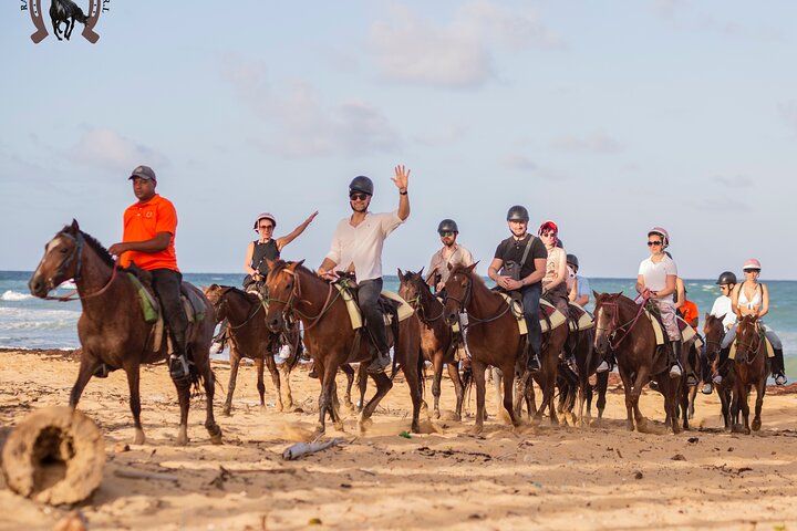 Paardrijavontuur op de schilderachtige stranden van Punta Cana, Dominicaanse Republiek, foto 4 | wizardtrip