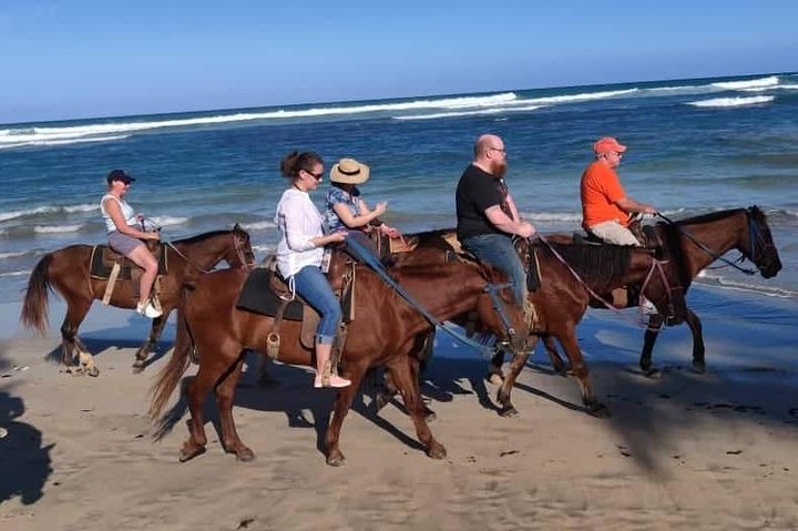 Paardrijavontuur op de schilderachtige stranden van Punta Cana, Dominicaanse Republiek, foto 7 | wizardtrip