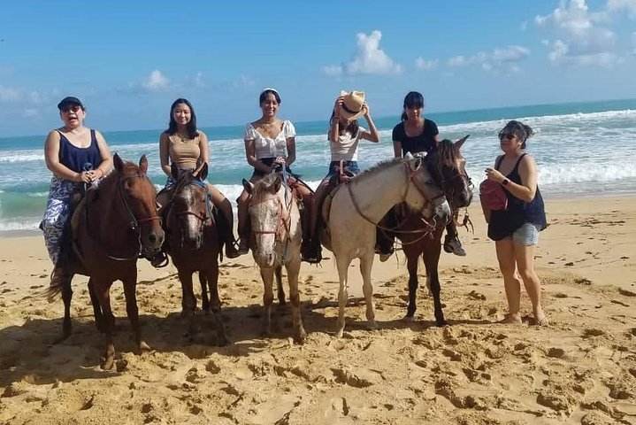 Paardrijavontuur op de schilderachtige stranden van Punta Cana, Dominicaanse Republiek, foto 8 | wizardtrip