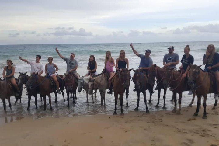Paardrijavontuur op de schilderachtige stranden van Punta Cana, Dominicaanse Republiek, foto 9 | wizardtrip