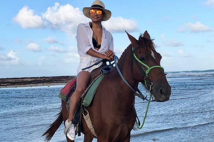 Paardrijavontuur op de schilderachtige stranden van Punta Cana, Dominicaanse Republiek, foto 13 | wizardtrip