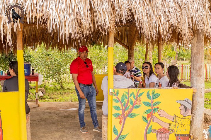 Paardrijavontuur op de schilderachtige stranden van Punta Cana, Dominicaanse Republiek, foto 19 | wizardtrip
