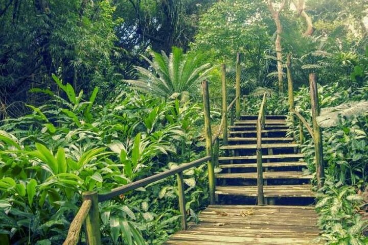 Best of Nadi Highlights | wizardtrip