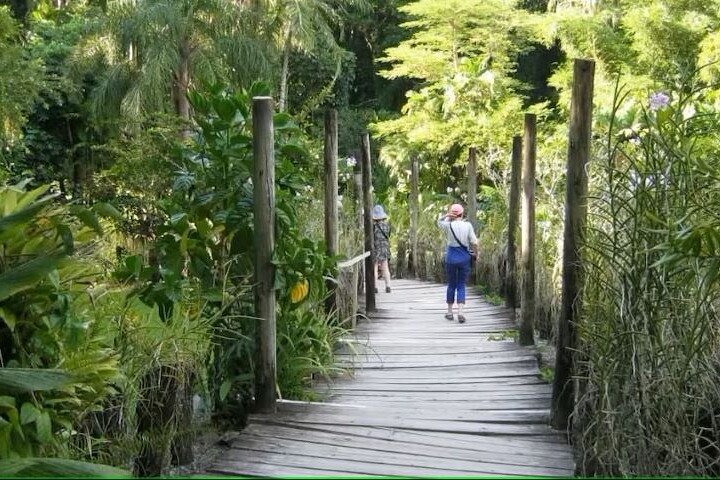 Explora los sitios culturales, mercados, jardines y aguas termales de Nadi en un tour guiado completo, foto 9 | wizardtrip