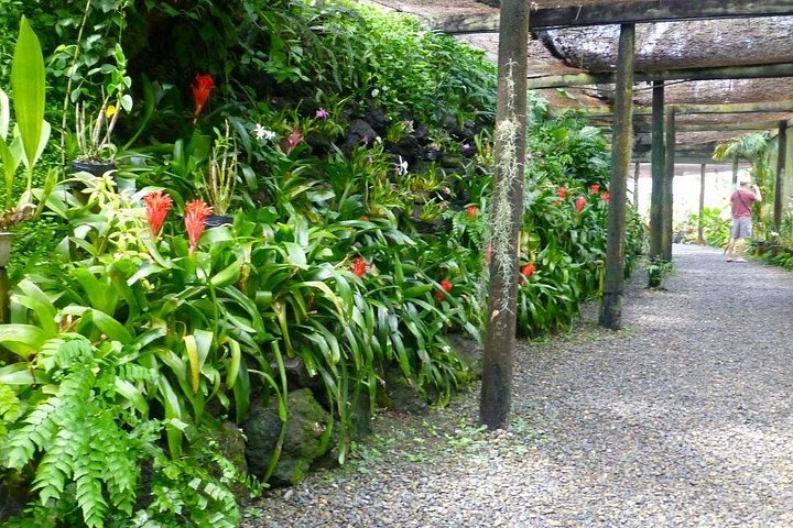 Explora los sitios culturales, mercados, jardines y aguas termales de Nadi en un tour guiado completo, foto 13 | wizardtrip