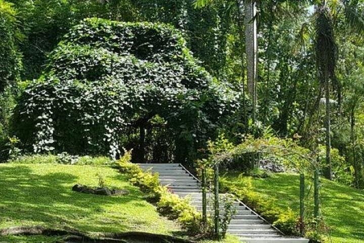 Explora los sitios culturales, mercados, jardines y aguas termales de Nadi en un tour guiado completo, foto 15 | wizardtrip