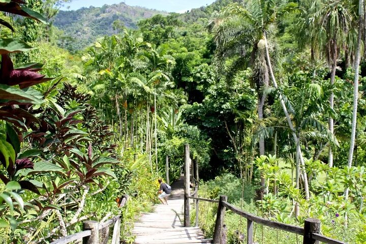 Explora los sitios culturales, mercados, jardines y aguas termales de Nadi en un tour guiado completo, foto 24 | wizardtrip