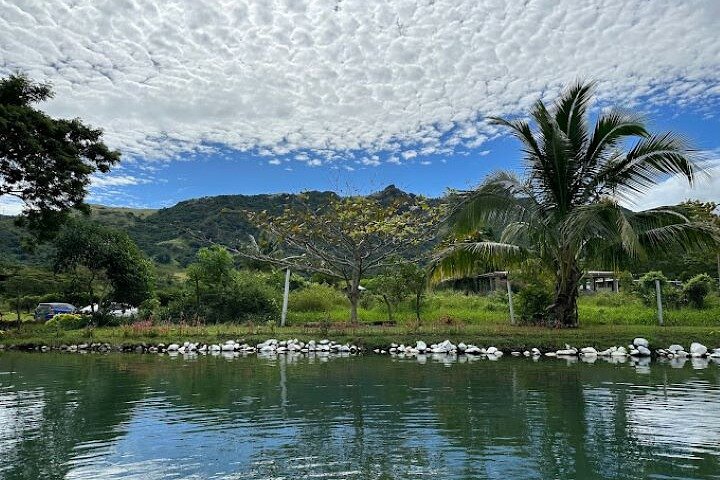 Explora los sitios culturales, mercados, jardines y aguas termales de Nadi en un tour guiado completo, foto 27 | wizardtrip