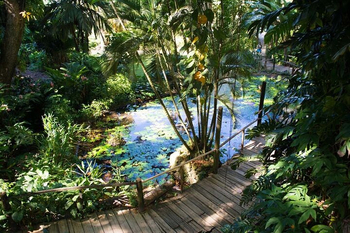 Explora los sitios culturales, mercados, jardines y aguas termales de Nadi en un tour guiado completo, foto 29 | wizardtrip
