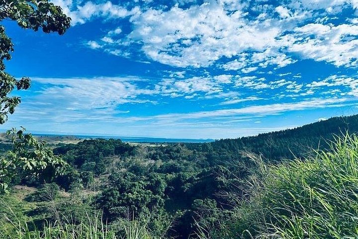 Ervaar spannende ziplines en grotverkenning te midden van de prachtige natuur van Fiji nabij Nadi, foto 22 | wizardtrip