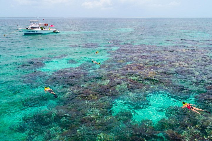 Key Largo Snorkeling Tour with Mask, Fins, and Vest Included | wizardtrip