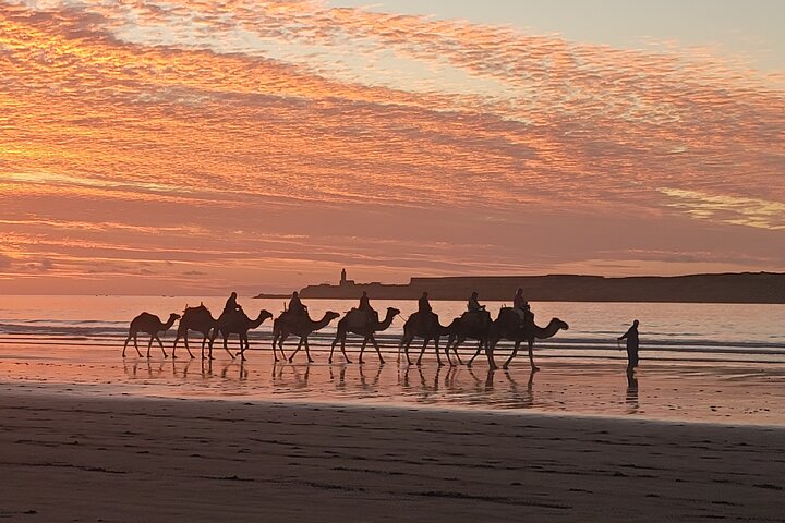 Essaouira | wizardtrip