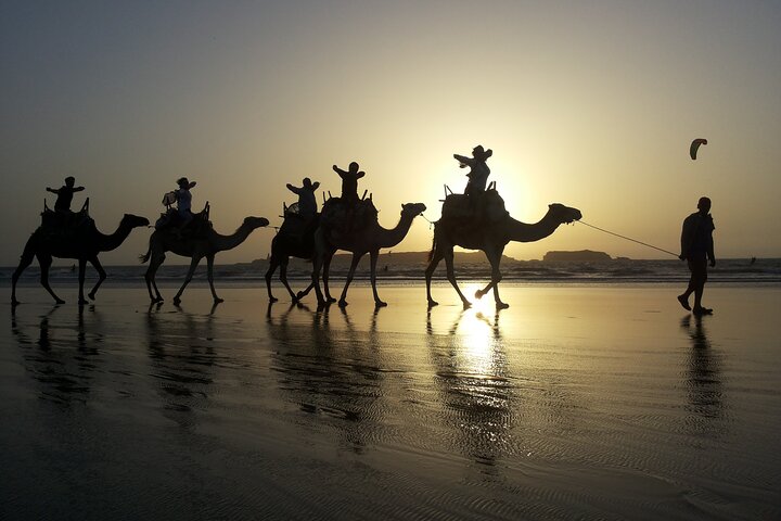Camel ride at sunset near Essaouira, Morocco, exploring beaches and dunes, photo 6 | wizardtrip