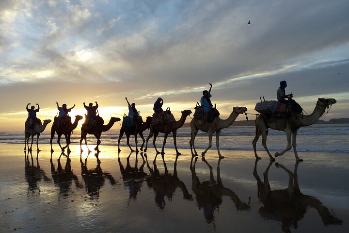 Camel ride at sunset near Essaouira, Morocco, exploring beaches and dunes, photo 7 | wizardtrip