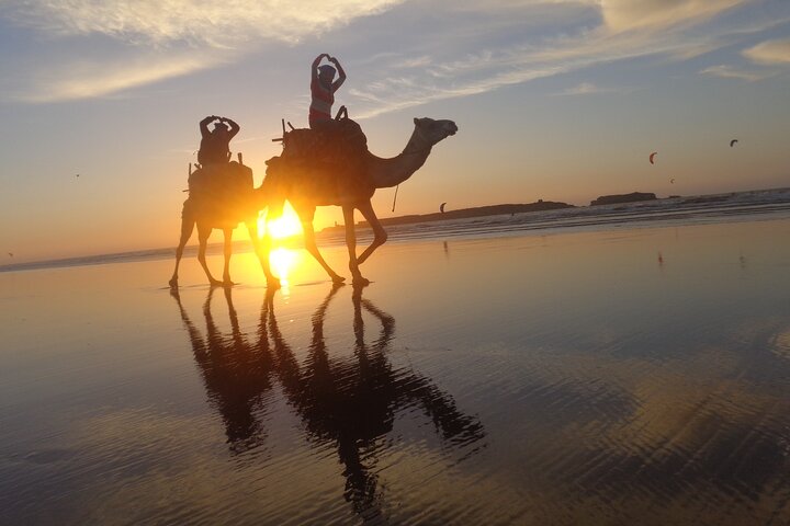Camel ride at sunset near Essaouira, Morocco, exploring beaches and dunes, photo 8 | wizardtrip