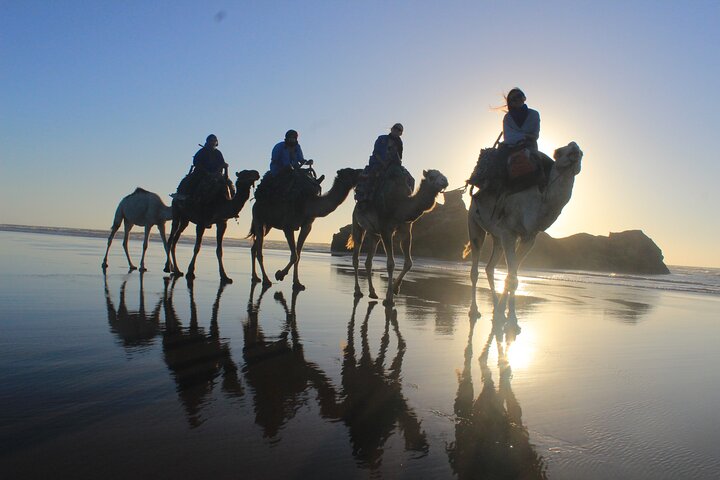Camel ride at sunset near Essaouira, Morocco, exploring beaches and dunes, photo 9 | wizardtrip