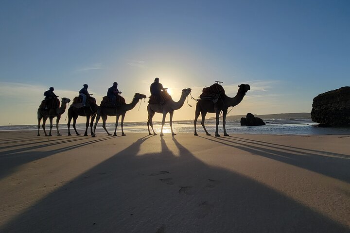 Camel ride at sunset near Essaouira, Morocco, exploring beaches and dunes, photo 10 | wizardtrip