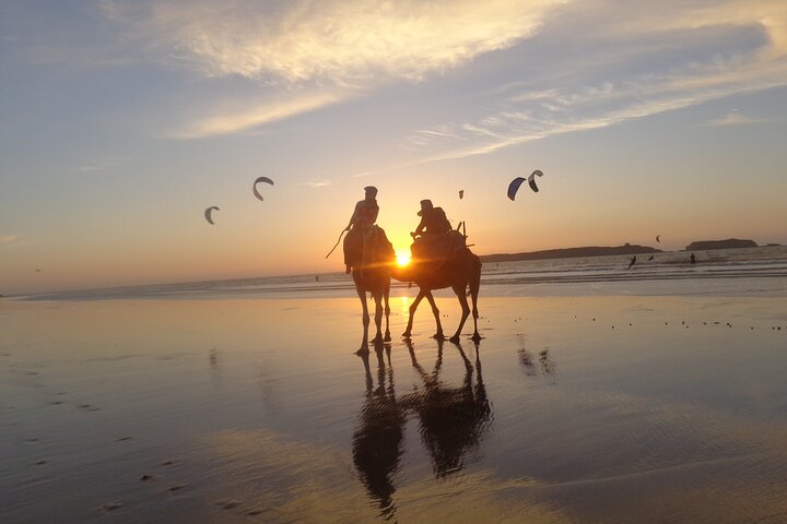Camel ride at sunset near Essaouira, Morocco, exploring beaches and dunes, photo 11 | wizardtrip