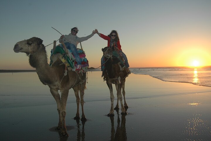 Camel ride at sunset near Essaouira, Morocco, exploring beaches and dunes, photo 12 | wizardtrip