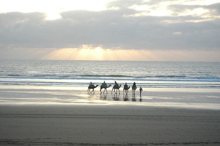 Camel ride at sunset near Essaouira, Morocco, exploring beaches and dunes, photo 13 | wizardtrip
