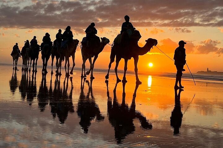 Camel ride at sunset near Essaouira, Morocco, exploring beaches and dunes, photo 15 | wizardtrip