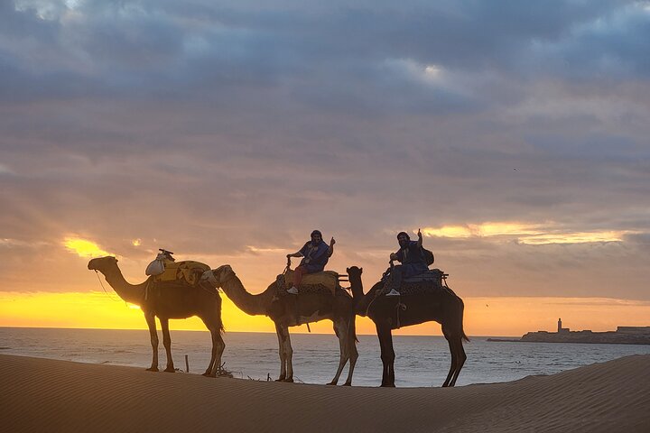 Camel ride at sunset near Essaouira, Morocco, exploring beaches and dunes, photo 16 | wizardtrip