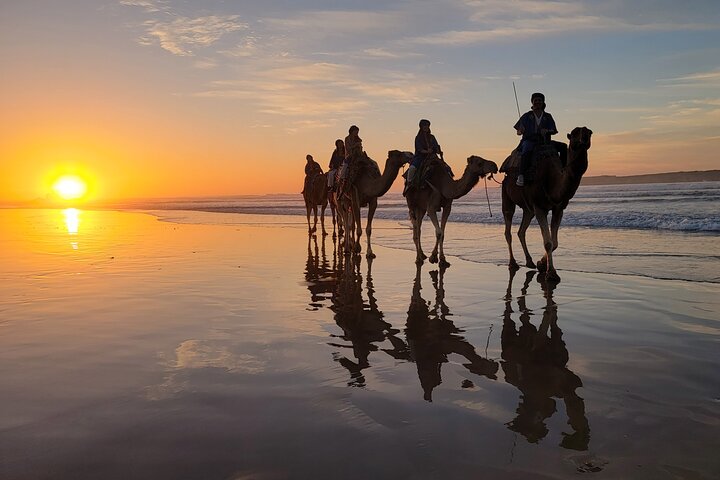 Camel ride at sunset near Essaouira, Morocco, exploring beaches and dunes, photo 17 | wizardtrip