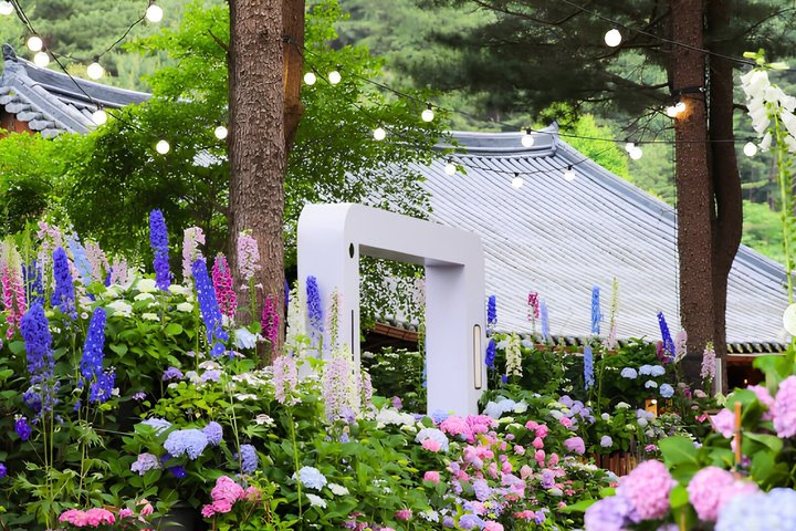 Scenic tour of Nami Island, Garden of Morning Calm, and Gangchon Rail Bike from Seoul, photo 17 | wizardtrip