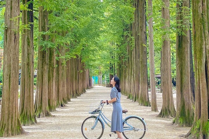 Scenic tour of Nami Island, Garden of Morning Calm, and Gangchon Rail Bike from Seoul, photo 19 | wizardtrip