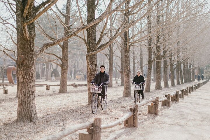 Scenic tour of Nami Island, Garden of Morning Calm, and Gangchon Rail Bike from Seoul, photo 20 | wizardtrip