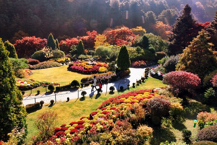 Scenic tour of Nami Island, Garden of Morning Calm, and Gangchon Rail Bike from Seoul, photo 22 | wizardtrip