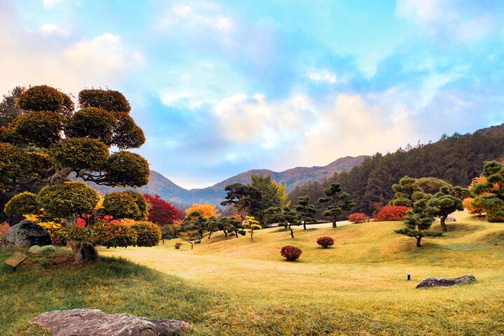 Scenic tour of Nami Island, Garden of Morning Calm, and Gangchon Rail Bike from Seoul, photo 24 | wizardtrip