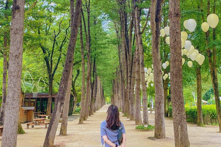 Scenic tour of Nami Island, Garden of Morning Calm, and Gangchon Rail Bike from Seoul, photo 27 | wizardtrip