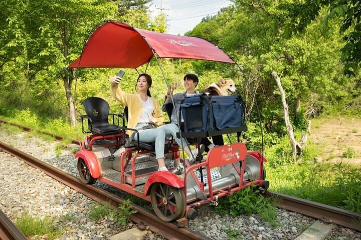 Scenic tour of Nami Island, Garden of Morning Calm, and Gangchon Rail Bike from Seoul, photo 28 | wizardtrip