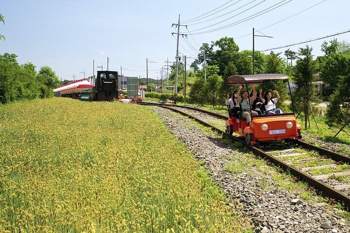 Scenic tour of Nami Island, Garden of Morning Calm, and Gangchon Rail Bike from Seoul, photo 29 | wizardtrip