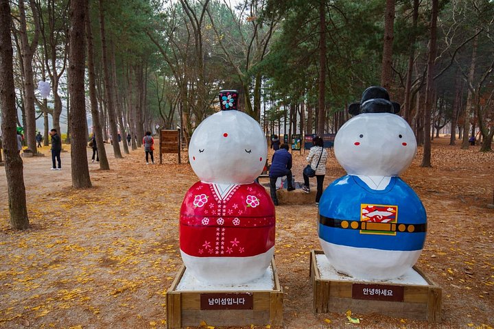 Scenic tour of Nami Island, Garden of Morning Calm, and Gangchon Rail Bike from Seoul, photo 31 | wizardtrip