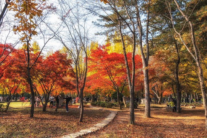 Scenic tour of Nami Island, Garden of Morning Calm, and Gangchon Rail Bike from Seoul, photo 32 | wizardtrip