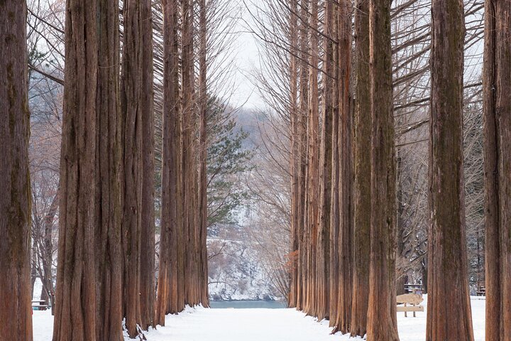 Scenic tour of Nami Island, Garden of Morning Calm, and Gangchon Rail Bike from Seoul, photo 33 | wizardtrip