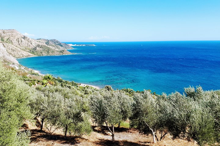 Inseltour Zakynthos mit Navagio Beach, Blauen Höhlen und Panoramablicken, Foto 11 | wizardtrip