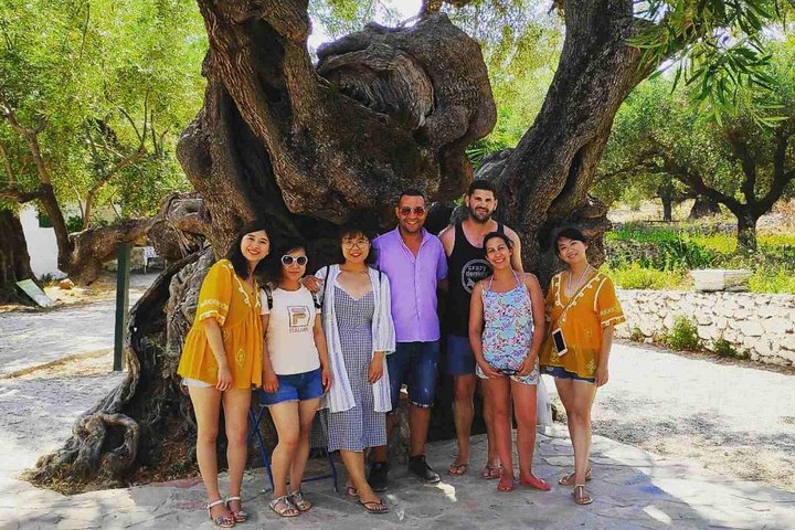 Inseltour Zakynthos mit Navagio Beach, Blauen Höhlen und Panoramablicken, Foto 18 | wizardtrip