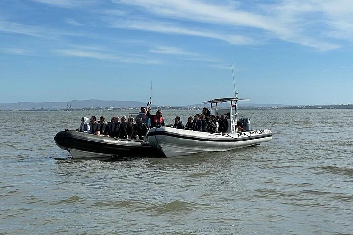 Delfinskådning safari från Lissabon på en RIB-båt med marinbiolog, foto 19 | wizardtrip