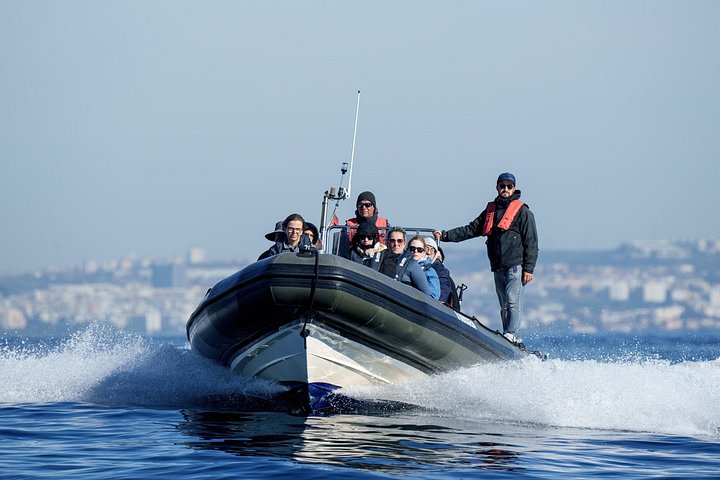 Delfinskådning safari från Lissabon på en RIB-båt med marinbiolog, foto 29 | wizardtrip